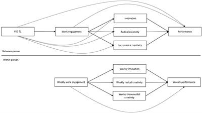 Psychosocial safety climate as a predictor of work engagement, creativity, innovation, and work performance: A case study of software engineers